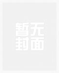 孤独的流浪者(全)