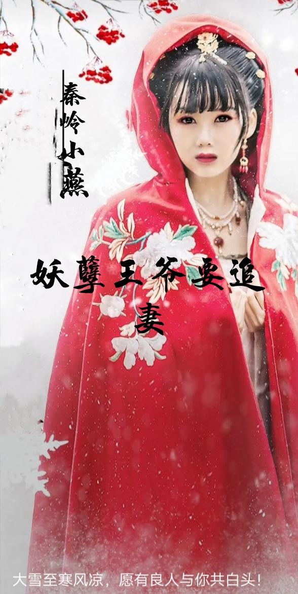 妖孽王爷邪魅王妃